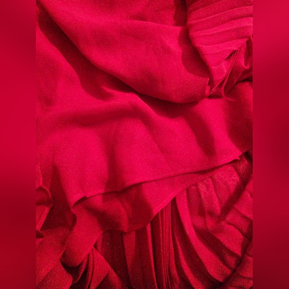 NICOLE by Nicole Miller Rose Buds Flouncy Pleated Dress (4) - Picture 10 of 12